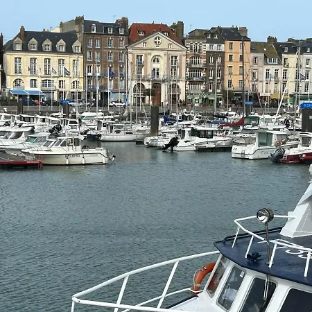 Magnifique L'aigrette Dieppe