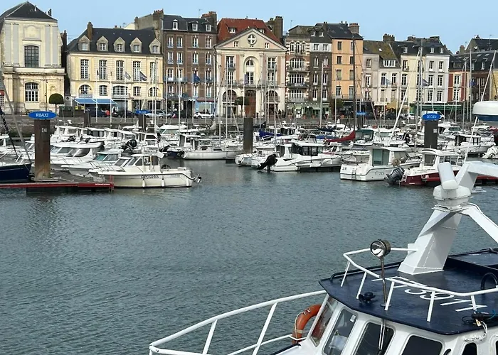 Magnifique L'aigrette Dieppe