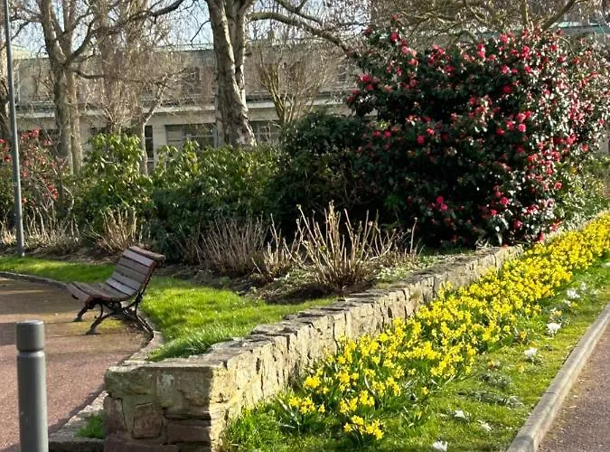 Magnifique L'aigrette Dieppe