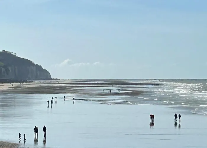 Magnifique L'aigrette