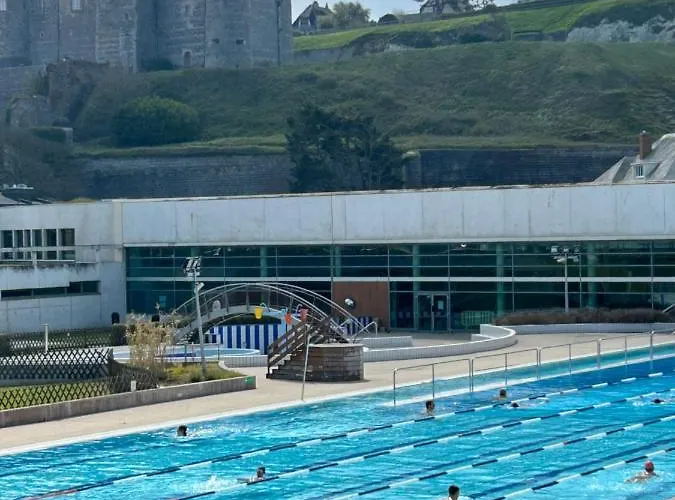 Magnifique L'aigrette Dieppe