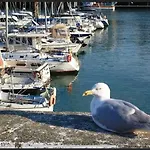 Magnifique L'aigrette * Dieppe