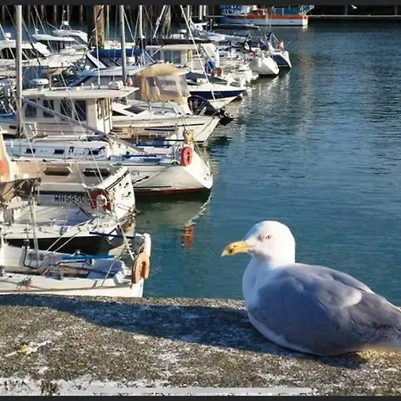 Magnifique L'aigrette * Dieppe