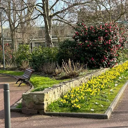 Magnifique L'aigrette Dieppe