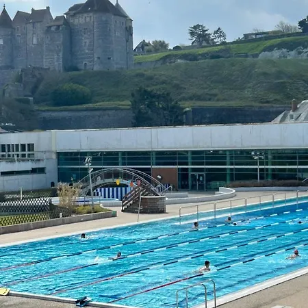Magnifique L'aigrette Διέππη